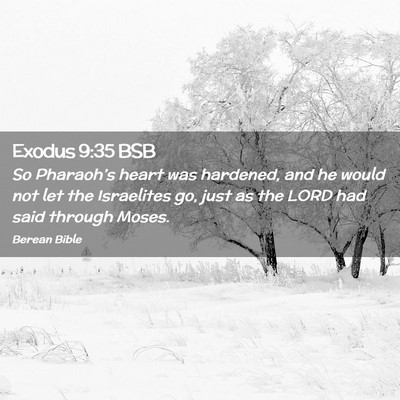 Picture 02 - Exodus 9:35 BSB - So Pharaoh’s heart was hardened, and he would - Bible Verse Picture