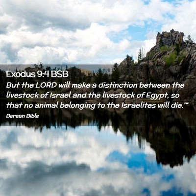Picture 02 - Exodus 9:4 BSB - But the LORD will make a distinction between the - Bible Verse Picture