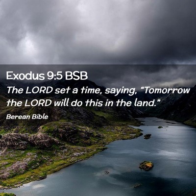 Picture 02 - Exodus 9:5 BSB - The LORD set a time, saying, “Tomorrow the LORD - Bible Verse Picture
