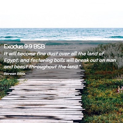 Picture 02 - Exodus 9:9 BSB - It will become fine dust over all the land of - Bible Verse Picture