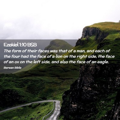 Picture 02 - Ezekiel 1:10 BSB - The form of their faces was that of a man, and - Bible Verse Picture