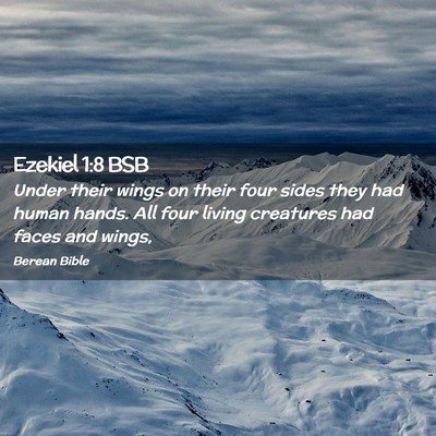 Picture 02 - Ezekiel 1:8 BSB - Under their wings on their four sides they had - Bible Verse Picture