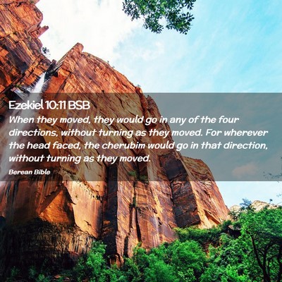 Picture 02 - Ezekiel 10:11 BSB - When they moved, they would go in any of the four - Bible Verse Picture