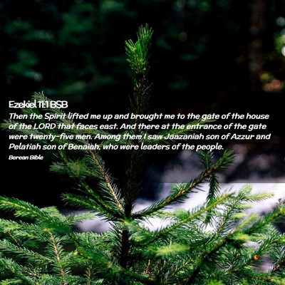 Picture 02 - Ezekiel 11:1 BSB - Then the Spirit lifted me up and brought me to - Bible Verse Picture