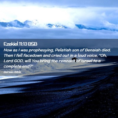 Picture 02 - Ezekiel 11:13 BSB - Now as I was prophesying, Pelatiah son of Benaiah - Bible Verse Picture