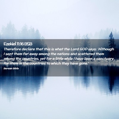 Picture 02 - Ezekiel 11:16 BSB - Therefore declare that this is what the Lord GOD - Bible Verse Picture