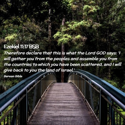 Picture 02 - Ezekiel 11:17 BSB - Therefore declare that this is what the Lord GOD - Bible Verse Picture