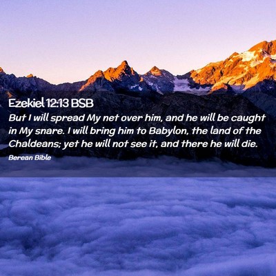 Picture 02 - Ezekiel 12:13 BSB - But I will spread My net over him, and he will be - Bible Verse Picture