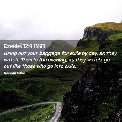 Picture 02 - Ezekiel 12:4 BSB - Bring out your baggage for exile by day, as they - Bible Verse Picture