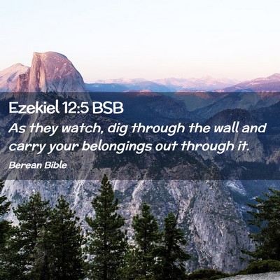 Picture 02 - Ezekiel 12:5 BSB - As they watch, dig through the wall and carry - Bible Verse Picture