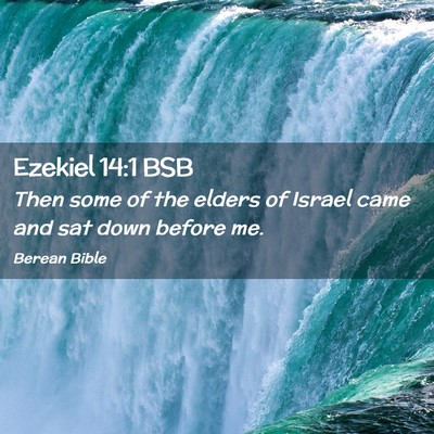 Picture 02 - Ezekiel 14:1 BSB - Then some of the elders of Israel came and sat - Bible Verse Picture