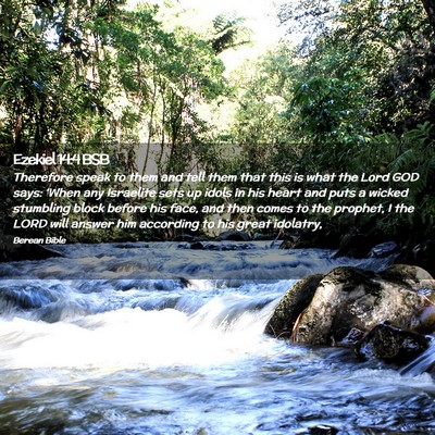 Picture 02 - Ezekiel 14:4 BSB - Therefore speak to them and tell them that this - Bible Verse Picture