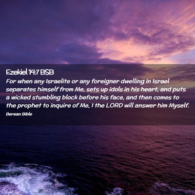 Picture 02 - Ezekiel 14:7 BSB - For when any Israelite or any foreigner dwelling - Bible Verse Picture
