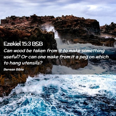 Picture 02 - Ezekiel 15:3 BSB - Can wood be taken from it to make something - Bible Verse Picture