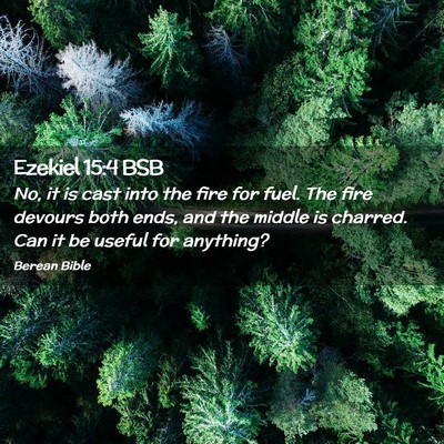 Picture 02 - Ezekiel 15:4 BSB - No, it is cast into the fire for fuel. The fire - Bible Verse Picture
