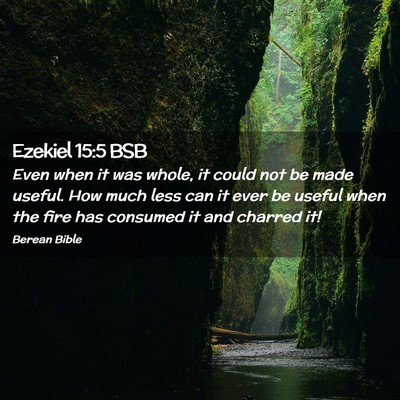 Picture 02 - Ezekiel 15:5 BSB - Even when it was whole, it could not be made - Bible Verse Picture
