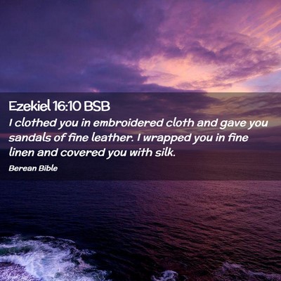 Picture 02 - Ezekiel 16:10 BSB - I clothed you in embroidered cloth and gave you - Bible Verse Picture
