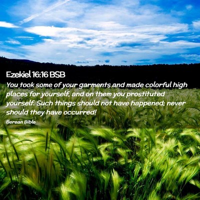 Picture 02 - Ezekiel 16:16 BSB - You took some of your garments and made colorful - Bible Verse Picture