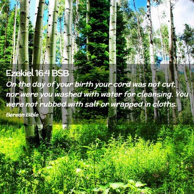 Picture 02 - Ezekiel 16:4 BSB - On the day of your birth your cord was not cut, - Bible Verse Picture