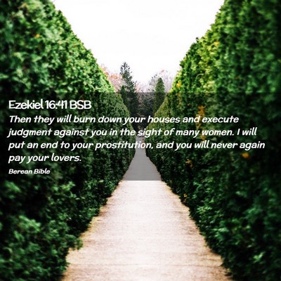 Picture 02 - Ezekiel 16:41 BSB - Then they will burn down your houses and execute - Bible Verse Picture