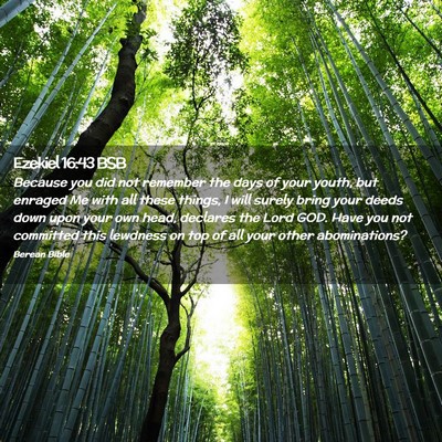 Picture 02 - Ezekiel 16:43 BSB - Because you did not remember the days of your - Bible Verse Picture