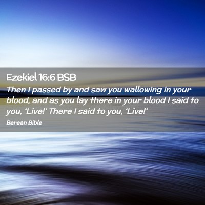 Picture 02 - Ezekiel 16:6 BSB - Then I passed by and saw you wallowing in your - Bible Verse Picture