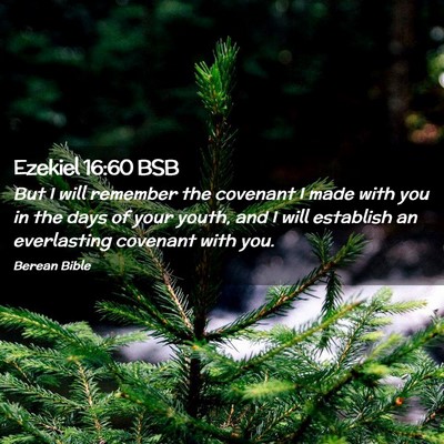 Picture 02 - Ezekiel 16:60 BSB - But I will remember the covenant I made with you - Bible Verse Picture