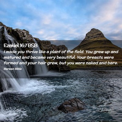 Picture 02 - Ezekiel 16:7 BSB - I made you thrive like a plant of the field. You - Bible Verse Picture