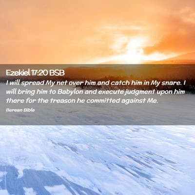 Picture 02 - Ezekiel 17:20 BSB - I will spread My net over him and catch him in My - Bible Verse Picture
