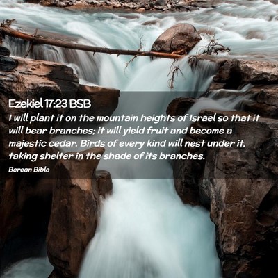 Picture 02 - Ezekiel 17:23 BSB - I will plant it on the mountain heights of Israel - Bible Verse Picture