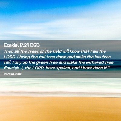 Picture 02 - Ezekiel 17:24 BSB - Then all the trees of the field will know that I - Bible Verse Picture