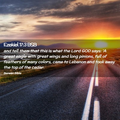 Picture 02 - Ezekiel 17:3 BSB - and tell them that this is what the Lord GOD - Bible Verse Picture