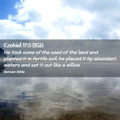 Picture 02 - Ezekiel 17:5 BSB - He took some of the seed of the land and planted - Bible Verse Picture