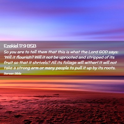 Picture 02 - Ezekiel 17:9 BSB - So you are to tell them that this is what the - Bible Verse Picture