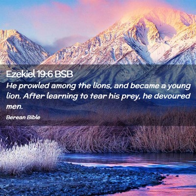 Picture 02 - Ezekiel 19:6 BSB - He prowled among the lions, and became a young - Bible Verse Picture