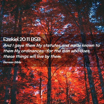 Picture 02 - Ezekiel 20:11 BSB - And I gave them My statutes and made known to - Bible Verse Picture