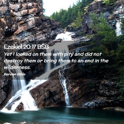 Picture 02 - Ezekiel 20:17 BSB - Yet I looked on them with pity and did not - Bible Verse Picture