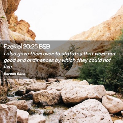 Picture 02 - Ezekiel 20:25 BSB - I also gave them over to statutes that were not - Bible Verse Picture