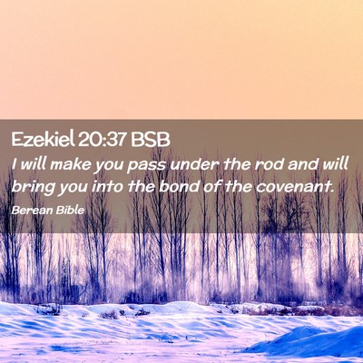 Picture 02 - Ezekiel 20:37 BSB - I will make you pass under the rod and will bring - Bible Verse Picture