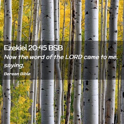 Picture 02 - Ezekiel 20:45 BSB - Now the word of the LORD came to me, - Bible Verse Picture