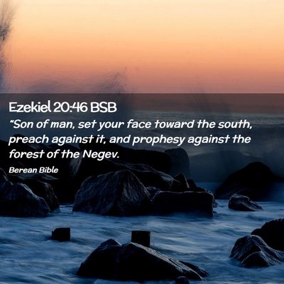 Picture 02 - Ezekiel 20:46 BSB - “Son of man, set your face toward the south, - Bible Verse Picture