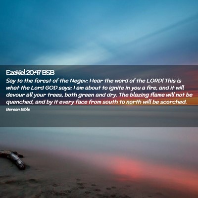 Picture 02 - Ezekiel 20:47 BSB - Say to the forest of the Negev: Hear the word of - Bible Verse Picture