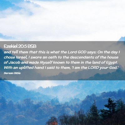 Picture 02 - Ezekiel 20:5 BSB - and tell them that this is what the Lord GOD - Bible Verse Picture