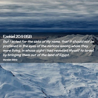Picture 02 - Ezekiel 20:9 BSB - But I acted for the sake of My name, that it - Bible Verse Picture