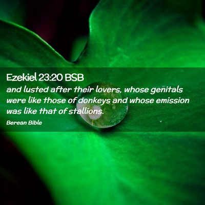 Picture 02 - Ezekiel 23:20 BSB - and lusted after their lovers, whose genitals - Bible Verse Picture