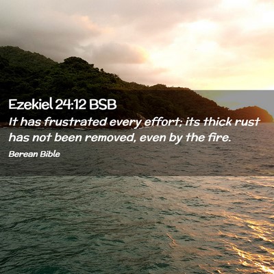 Picture 02 - Ezekiel 24:12 BSB - It has frustrated every effort; its thick rust - Bible Verse Picture
