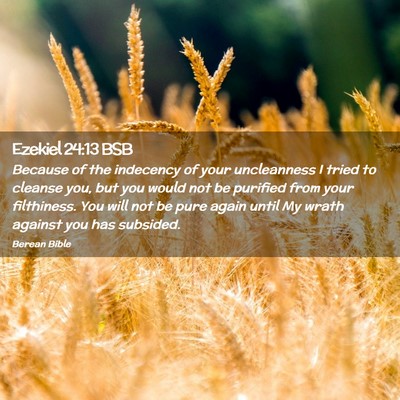 Picture 02 - Ezekiel 24:13 BSB - Because of the indecency of your uncleanness I - Bible Verse Picture
