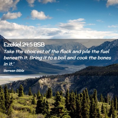 Picture 02 - Ezekiel 24:5 BSB - Take the choicest of the flock and pile the fuel - Bible Verse Picture