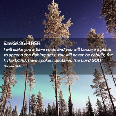 Picture 02 - Ezekiel 26:14 BSB - I will make you a bare rock, and you will become - Bible Verse Picture