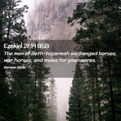 Picture 02 - Ezekiel 27:14 BSB - The men of Beth-togarmah exchanged horses, war - Bible Verse Picture